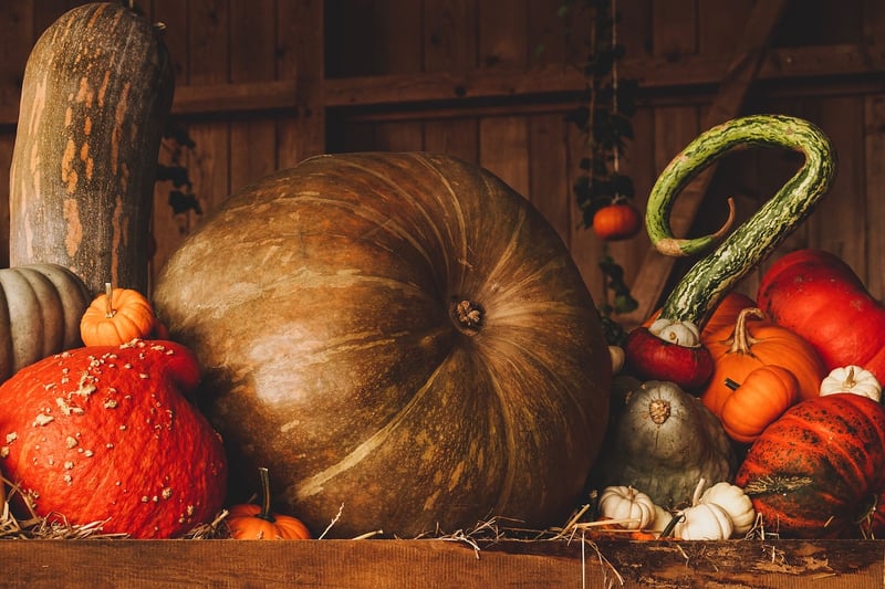 Fall harvest planning
